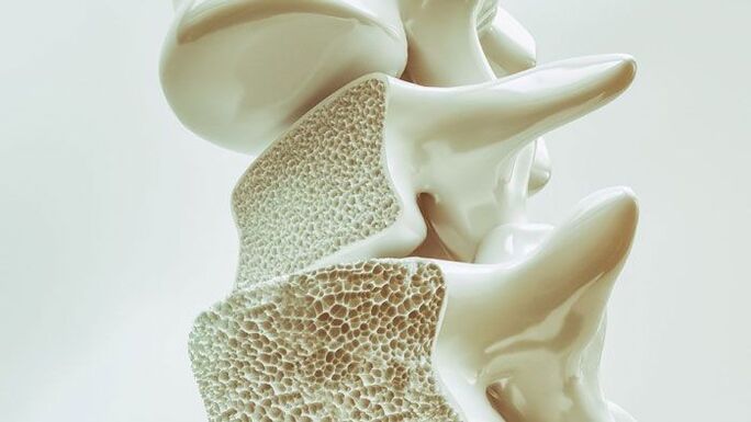 modelo seccional de la columna vertebral